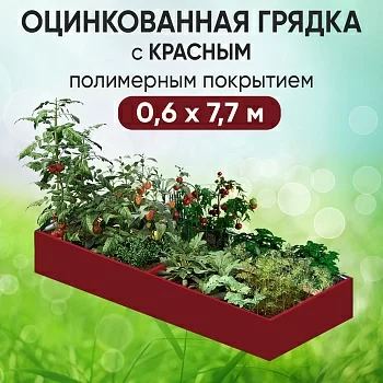 Грядка красная (0,6 х 7,7)