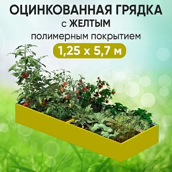 Грядка желтая (1,25 х 5,7)