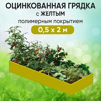 Грядка желтая (0,5 х 2)