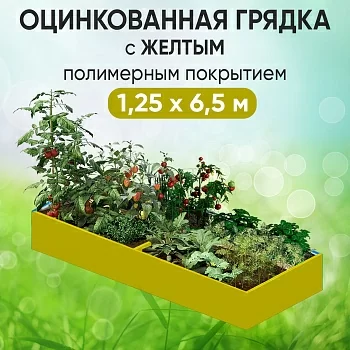 Грядка желтая (1,25 х 6,5)