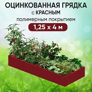 Грядка красная (1,25 х 4)